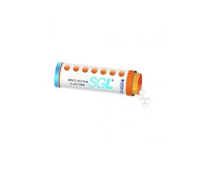 RUTA GRAVEOLENS*9CH 80GR 4G