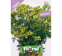 Ruta - Sementi pianta Officinale - Fioral