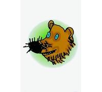 Ruth Miskin Read Write Inc. Phonics: Picture Sounds Cards (Pack of 118 s (Cards)