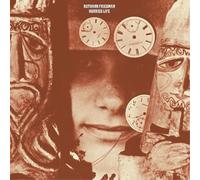 Ruthann Friedman Hurried Life: Lost Recordings 1965-1971 (Vinyl LP)
