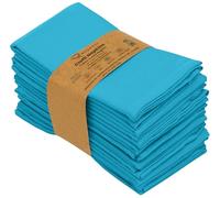 Ruvanti Tovaglioli di stoffa da cucina, 12 pezzi, 45,7 x 45,7 cm, morbidi e comodi, riutilizzabili, tovaglioli di lino durevoli, perfetti per cene di famiglia, feste e matrimoni, colore celeste