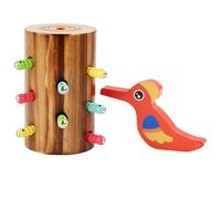 Ruwshuuk Gioco magnetico per uccelli da falegname, giocattoli per uccelli per bambini, giocattolo per l'alimentazione degli uccelli da falegname, set di alimentazione per uccelli magnetici, set di