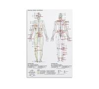 RVBLRDSE Acupuncture Meridian Chart Poster - Five Elements Theory Traditional Chinese Medicine Art for Modern Living Room(Unframed,12x18inch(30x45cm))