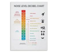 RVBLRDSE Decibel Chart Noise Level Poster Classroom Management Visual Cue for Quiet Voice Home School Decor(Unframed,16x24inch(40x60cm))