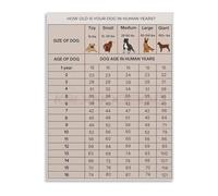 RVBLRDSE Pet Care Educational Chart Dog Age in Human Years Canvas Wall-Art for Clinic Mud Room Decor Gift(Unframed,12x18inch(30x45cm))