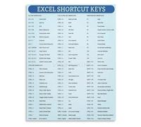 RVBLRDSE Professional Workspace Art Excel Shortcut Keys Reference Canvas Poster for Desk Organization(Framed,08x12inch(20x30cm))