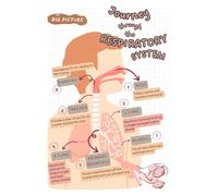 RVBLRDSE Pulmonology Anatomy Poster, Respiratory Tract Diagram for Medical Study, Elegant Wall Art for Hospital, Classroom, or Home Study Decor(Unframed,12x18inch(30x45cm))