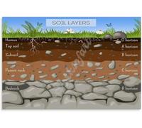 RVBLRDSE Science Classroom Decor Soil Layers of the Earth Poster Geography Educational Diagram Wall-Art for Home School Wall Decor(Unframed,12x18inch(30x45cm))