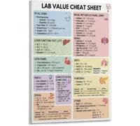 RVBLRDSE Science Data Visualization Poster Abstract Physiology Chart Canvas Wall-Art Modern Home Decor(Framed,12x18inch(30x45cm))