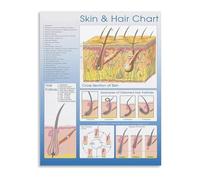 RVBLRDSE Skin Hair Care Guide Chart Beauty Salon Reference Poster Client Consultation Canvas Art Print for Studio Decor(Framed,12x18inch(30x45cm))