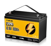 Rvpozwer Batteria Litio 12V 100Ah, 1280Wh LiFePO4 Batterie, con BMS Integrato da 100A, 18000 Cicli a Scarica Profonda, Protezione Contro le Basse Temperature, per Off-Grid, Camper e Imbarcazioni