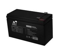 RVT SECURITY - Batteria per UPS Long Life 12 Volts 9 Amper ideale per gruppi di Continuita' 2 Anni di Garanzia