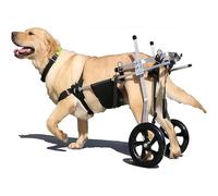 RVUEM Rimorchi per Cani da Bicicletta, Sedia A Rotelle per Cani per Cani di Taglia Grande E Piccola, Dispositivo di Riabilitazione per Zampe Posteriori Regolabile in Alluminio, 2 Ruote,Nero,M