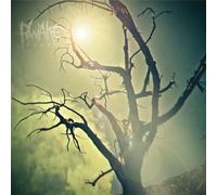 Rwake Rest (MINT & SWAMP GREEN MERGE/SPLATTER LP) (Vinyl LP)