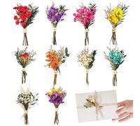 RXKFIGX 10 pezzi Mini Bouquet di Fiori secchi, Fiori Secchi Naturali per Decorazioni fai da te, Biglietti, Decorazioni per Matrimoni, Accessori fotografici, Decorazioni regalo