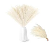 RXKFIGX 30 pezzi Pampas Decorative, Piume Decorative, Fiori Secchi Decorativi, Piume Decorative Lunghe, Fiori Secchi, 55cm Pampas Decorative Alte Per Matrimonio,Soggiorno,Arredamento Boho,Casa