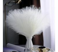 RXKFIGX 30 pezzi Pampas Decorative, Piume Decorative, Fiori Secchi Decorativi, Piume Decorative Lunghe, Fiori Secchi, 55cm Pampas Decorative Alte Per Matrimonio,Soggiorno,Arredamento Boho,Casa (white)