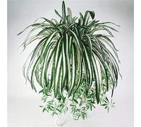 RXMORI 4 Pezzi di Fiori di Seta Artificiali di Clorofito, Pianta di Ragno Artificiale Pianta Finta Verde Finto, Piante da Appendere al Muro Pianta di Seta Decorativa per la Decorazione della Casa(#1)