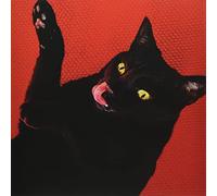 Ryan Adams - Big Colors