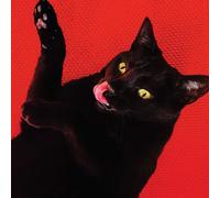 Ryan Adams - Big Colors - Cd