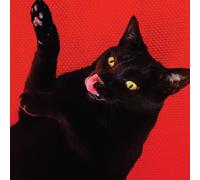 Ryan Adams Big Colors (Vinyl LP) 12" Album (Coloured Vinyl) with 7" Single