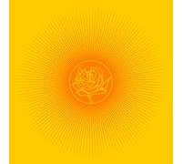 Ryan Adams Easy Tiger (Vinyl LP)