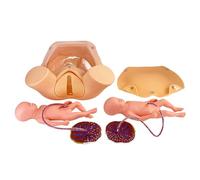 Ryanong Simulatore di nascita del bambino, modello di insegnamento del parto del feto, simulazione ad alta fedeltà e design realistico, formazione tecnica ostetricia di base può essere eseguita
