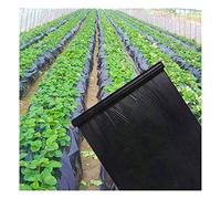 RybdaFDc 1 pz Agricoltura Diserbo Pacciame Nero, 0,8 m di Larghezza Addensare 0,014 mm Serra di Verdure Fragola Speciale Film di Plastica Piante Coltivare Film(0.8mx30m)