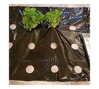 RybdaFDc Film Perforato for Verdure agricole Nero, 10 m × 95 cm 5 Fori Piante pacciamatura Semina Film in plastica PE, Spessore 0,02 mm, 1 Pezzo(30 Meters)