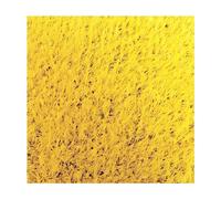 RybdaFDc Tappeto erboso Artificiale Spesso 0,78 Pollici, Tappeto erboso Artificiale con Fori di drenaggio e Supporto in Gomma, for Area Piscina e Area Animali Domestici(Yellow,2x11m(6.59x36.08ft))