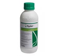 Ryder Syngenta Colorante Pigmento per Prato Tappeti Erbosi 1 Litro