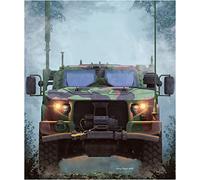 Rye field model - jltv