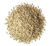 Rye grains 1Kg BIO