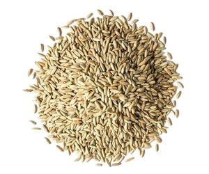 Rye grains 1Kg BIO