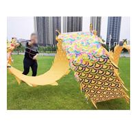 Rygcrud Danza All'aperto - Nastro Drago Poi Streamer con Testa 3D, Set di Giocoleria per Principianti da Regalare, Spettacoli Durante I Festival, Giocattoli per Il Fitness(Yellow-Couleur,6m/19.7ft)