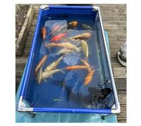 Rygcrud Grande Vasca per Pesci con Telaio in Tela, con Finestra Trasparente | Fuori Terra Acquario, Piscina, Da Interno Autoportante Acquario/vasca, Per Cortile E Giardino(140x140x35cm)