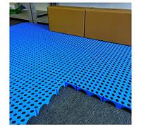 Rygcrud Pallet Di Plastica - Pallet E Stoccaggio A Incastro - Pad Di Magazzino In Polietilene - Pallet Di Ventilazione A Griglia Traspirante - Spessore 3 Cm - 1 Confezione(100x60x3cm)