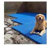 Rygcrud Pallet In Plastica Per Ambienti Umidi, Resistenti All'umidità - Da Tenere Sollevati Da Terra, Rete Per Piattaforme Di Stoccaggio Merci Per Scantinati, Garage O Magazzini(100x80x5cm)