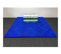 Rygcrud Pallet Leggeri In Plastica - E Stoccaggio A Incastro Pad Di Magazzino In Polietilene Ventilazione A Griglia Traspirante 1 Confezione(60x40x5cm)