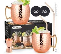 RYLIFEOGI Bicchieri Moscow Mule Set 2, 19oz Tazze Rame con Jigger Cannucce Regalo per Bar, Festa a Casa
