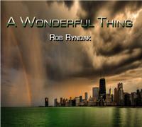 Ryndak, Rob - Wonderful Thing