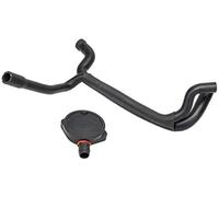 Rynplex 11151743386 Separatore olio basamento PCV valvola di sfiato + tubo flessibile, for E46 E36 Z3 Kit valvola di sfiato del basamento