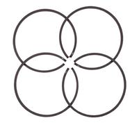 Rynplex 4 Pezzi/Lotto Fasce Elastiche, for Husqvarna 61 365 261 262 162 165 265 for Jonsered 625 630 Pezzo di Ricambio for Motosega 48 mm x 1,5 Anello del pistone della Motosega