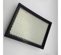 Rynplex Filtro aria, for Chevrolet, MALIBU/LUMINA/MONTE CARLO/VENTURE/UPLANDER/CORVETTE, for Buick, Regal/Century/TERRAZA/RENDEZVOUS 25099149 Filtro aria abitacolo per auto