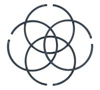 Rynplex Kit Fasce Elastiche 1,2 mm x 42,5, for Parti di Ricambio del Motore della Motosega 025 MS250 MS 250 Anello del pistone della Motosega