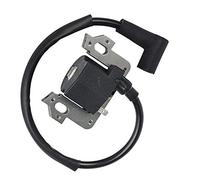 Rynplex Sostituzione modulo Bobina accensione Motore GCV135 GCV160 GCV190 GSV160 Ricambi per Motori di Tosaerba