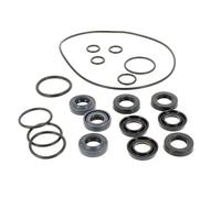 RYOBI - Kit de juntas para limpiador de alta presión