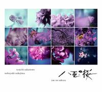 RYUICHI SAKAMOTO/NOBUYUKI NAKAJIMA - NHK [YAE NO SAKURA] -O.S.T. CO