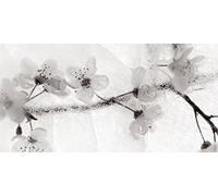 Ryuijie Douglas Stampa su Tela, Multicolore, 30 x 60 x 3.2 cm