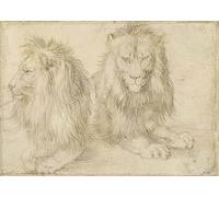 RZHRHJES Astratta della Poster Stampa su Tela Stampe Nordico Pittura Due leoni seduti di Albrecht Dürer per Decorazioni per la Casa 60x90cm